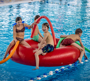 Bekijk ons laatste nieuws